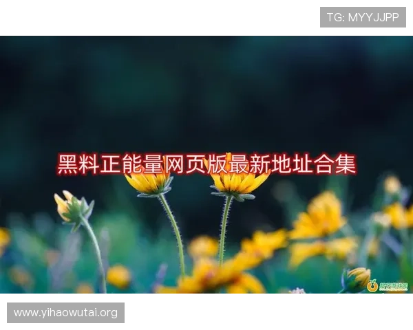 壹号官网网页版最新功能更新及优化内容详解，提升您的使用体验