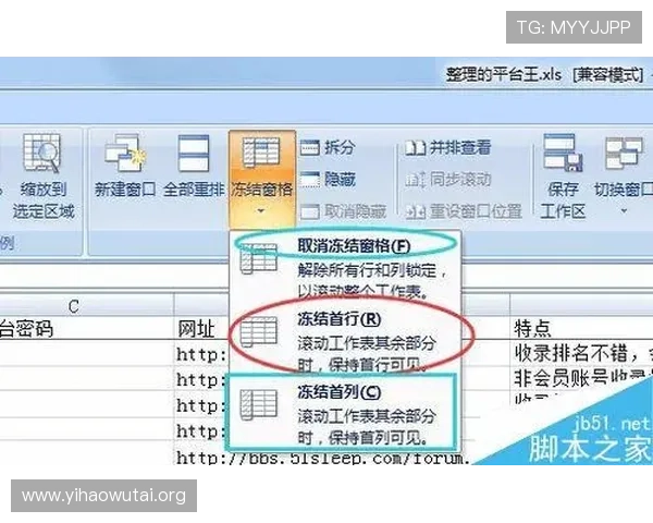 壹号平台官网:最新版本更新内容与操作技巧详解